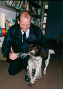Animals: Dogs - Vintage Photograph