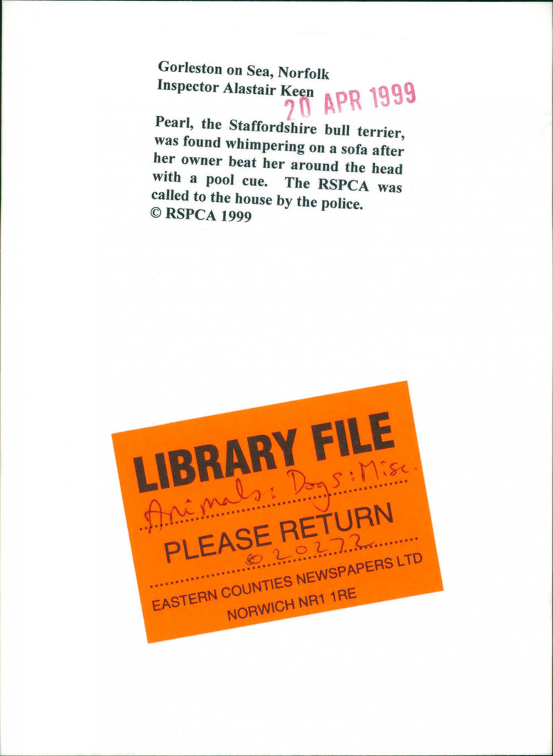 Animals: Dogs - Vintage Photograph