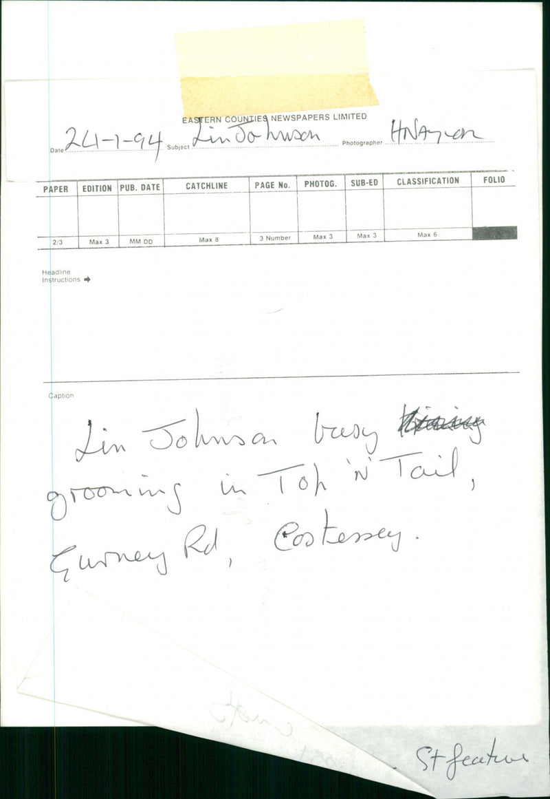 Animals: Dogs - Vintage Photograph