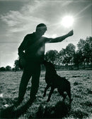 Animals: Dogs - Vintage Photograph