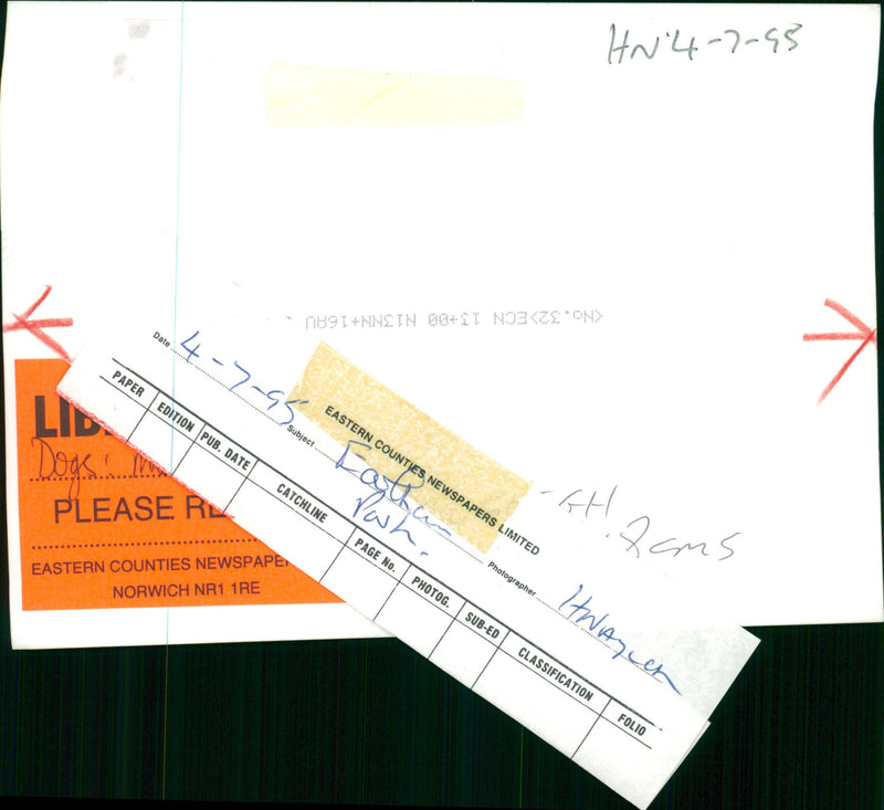 Animals: Dogs - Vintage Photograph