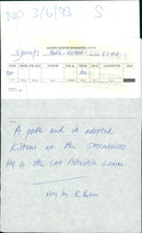 Animals: Dogs - Vintage Photograph