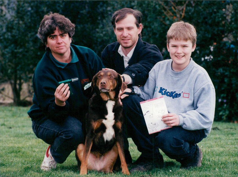 Animals: Dogs - Vintage Photograph