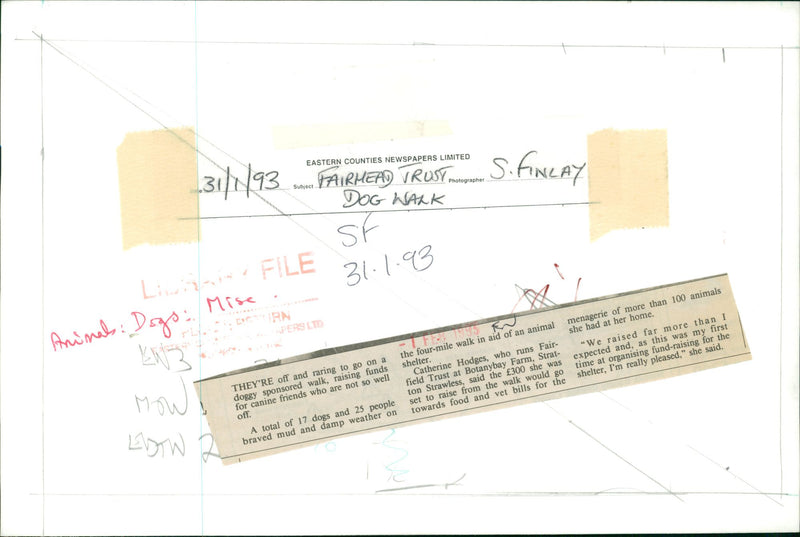 Fairhead Trust dog Walk - Vintage Photograph