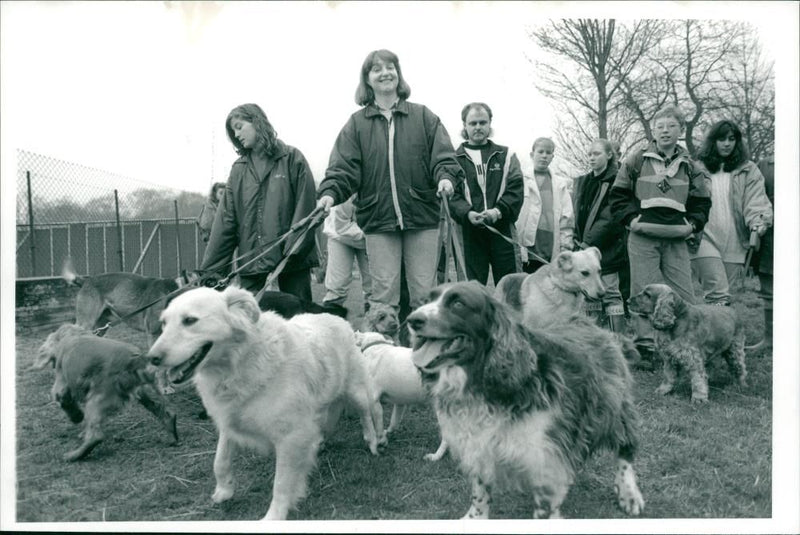 Fairhead Trust dog Walk - Vintage Photograph
