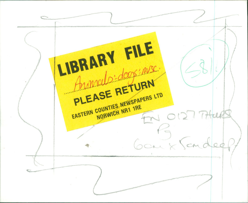 Dog  in the Kitchen - Vintage Photograph