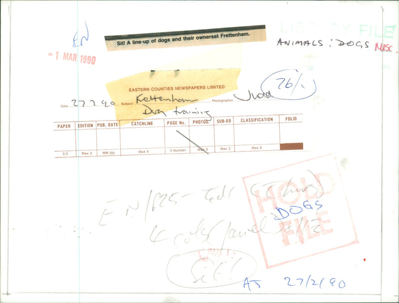 Frettenham Dvg Training. - Vintage Photograph