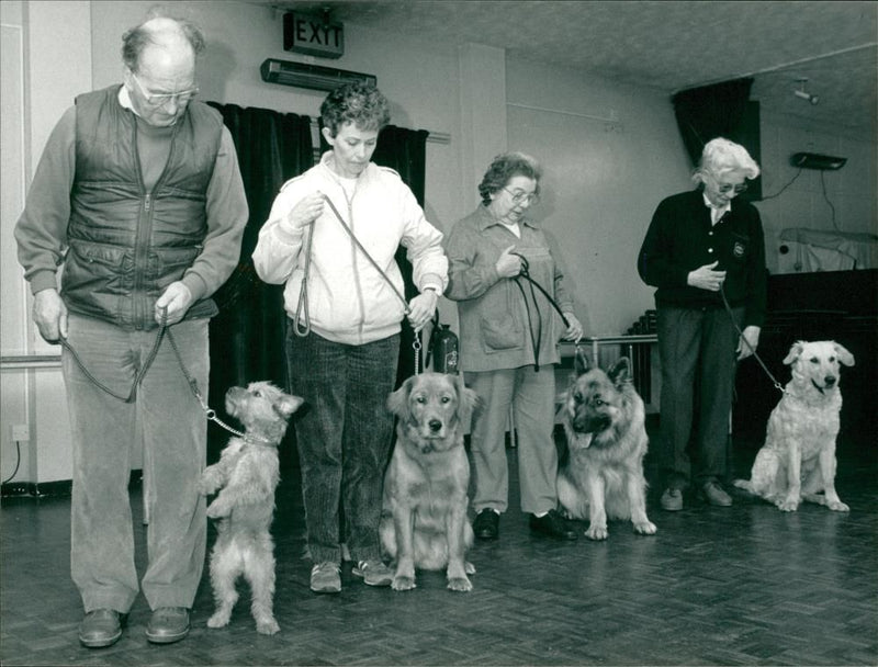 Frettenham Dvg Training. - Vintage Photograph