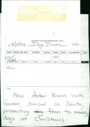 Dogs Dinner. - Vintage Photograph