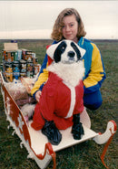 Dogs Dinner. - Vintage Photograph