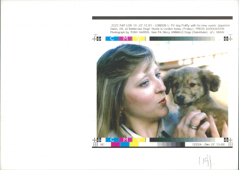 TV Dog Fluffy. - Vintage Photograph