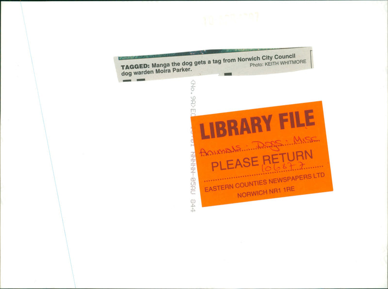 Manga the dog. - Vintage Photograph