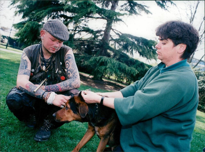 Manga the dog. - Vintage Photograph