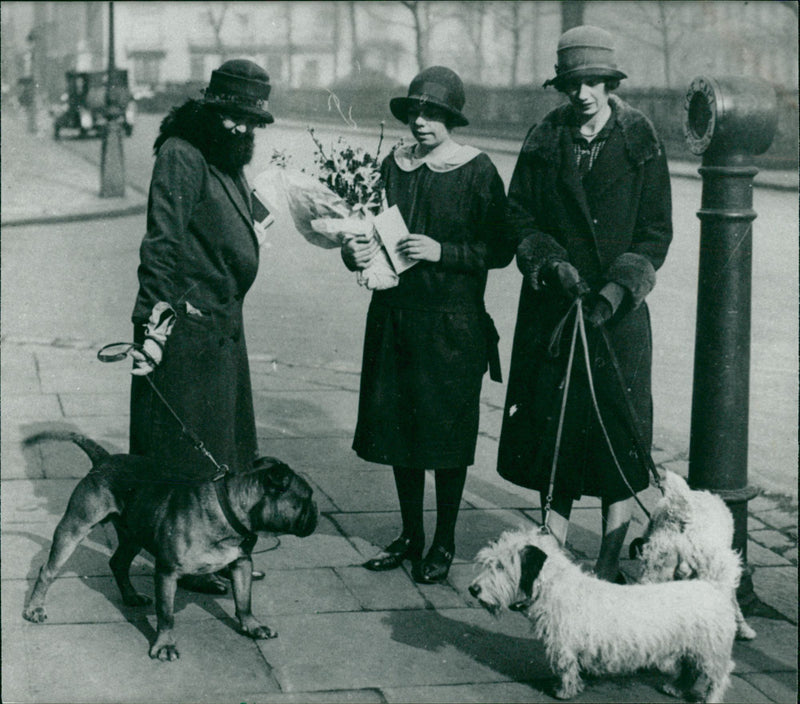 Animals: Aunts wither pet Dogs - Vintage Photograph