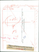 Animals: Cold Dog II - Vintage Photograph