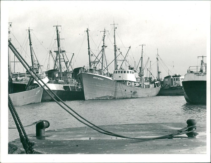 SHIPS OF THE LOWT TRAWLER FLEET PACK THE QUAYS OF THE HARBOUR. - Vintage Photograph