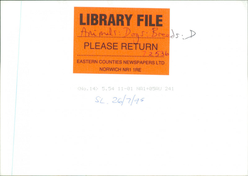 The Dalmatian. - Vintage Photograph