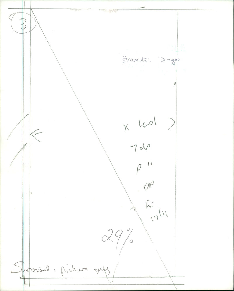 The dingo. - Vintage Photograph