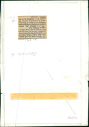 MONKEY - Vintage Photograph