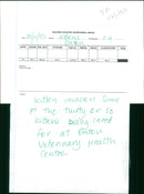 Kittens at Eaton Veterinary Health Centre - Vintage Photograph