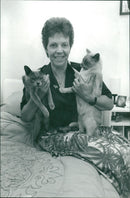 Burmese cats - Vintage Photograph