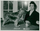 Cocker Spaniel - Vintage Photograph