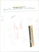 Ragdoll cats - Vintage Photograph