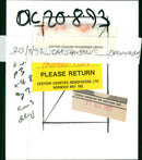 Cat - Vintage Photograph