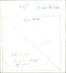 Ragdoll Blue Bi-Colour Kitten - Vintage Photograph