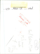 A cat up the tree in Mileham - Vintage Photograph