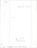 Birman cat - Vintage Photograph