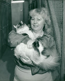 Mrs. Anderson at Up The Ladder Cat Hotel - Vintage Photograph