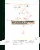 Cat Snare - Vintage Photograph