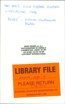 Dogs. - Vintage Photograph