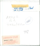 Cat - Vintage Photograph