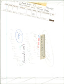 Stray Cats - Vintage Photograph