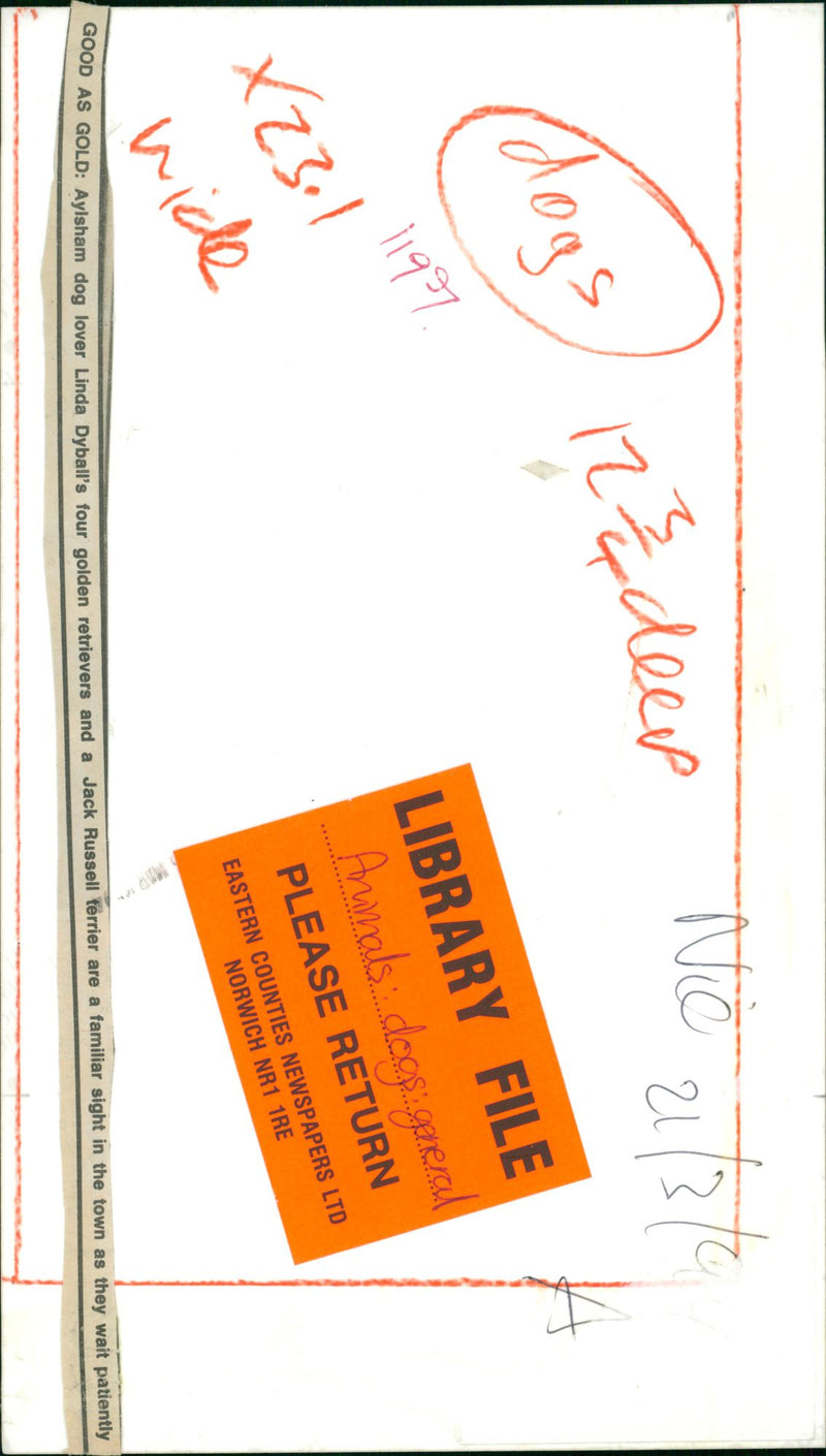 DOGS - Vintage Photograph