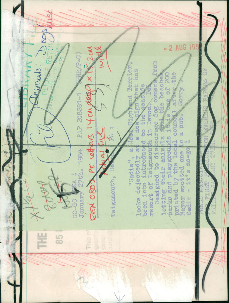 DOG - Vintage Photograph