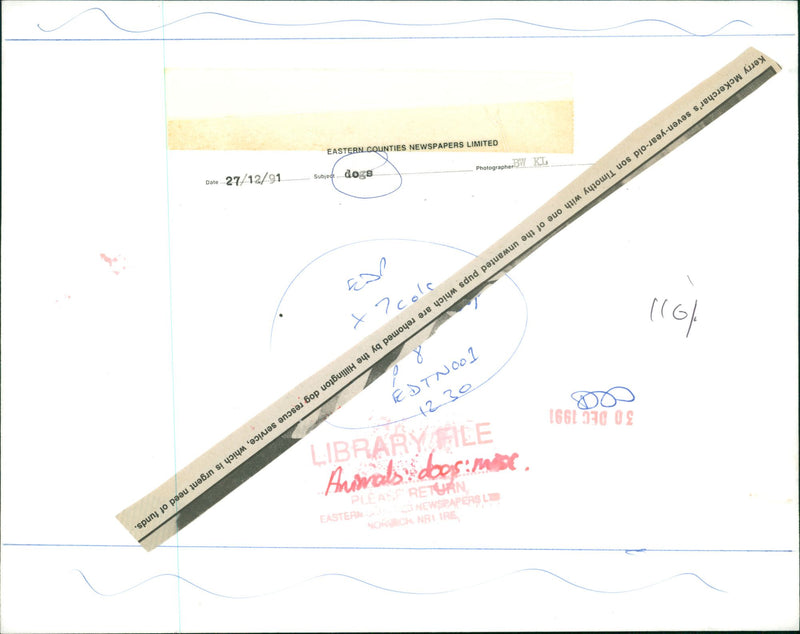 DOGS - Vintage Photograph