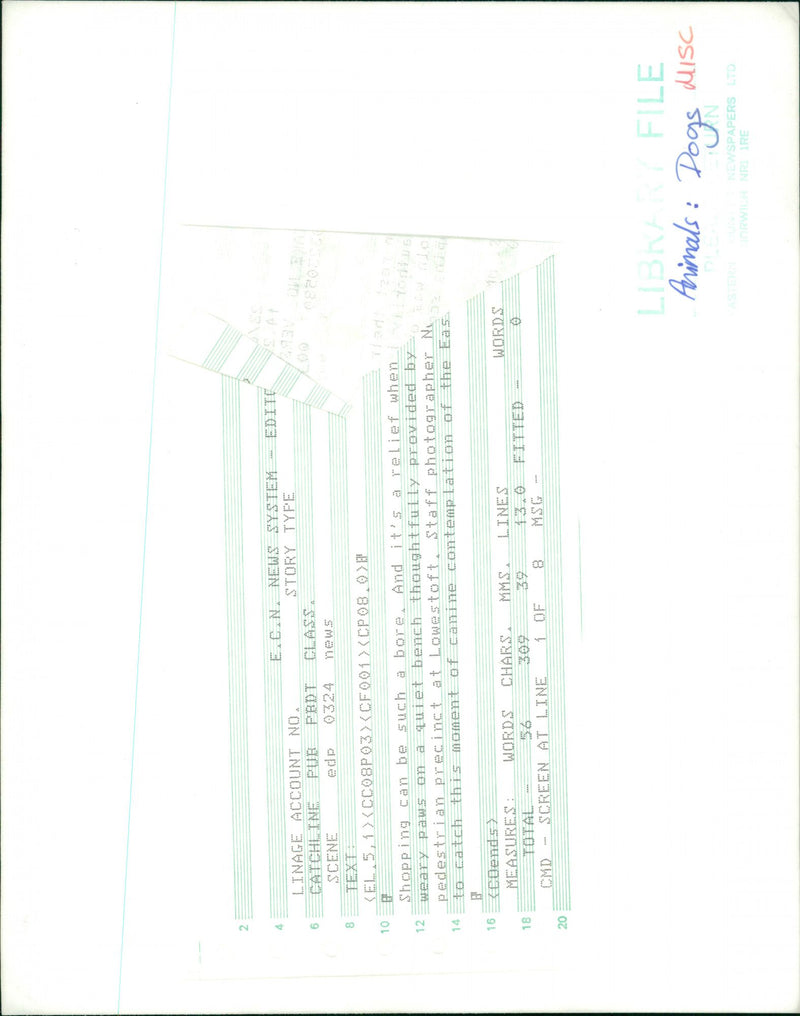 DOG - Vintage Photograph