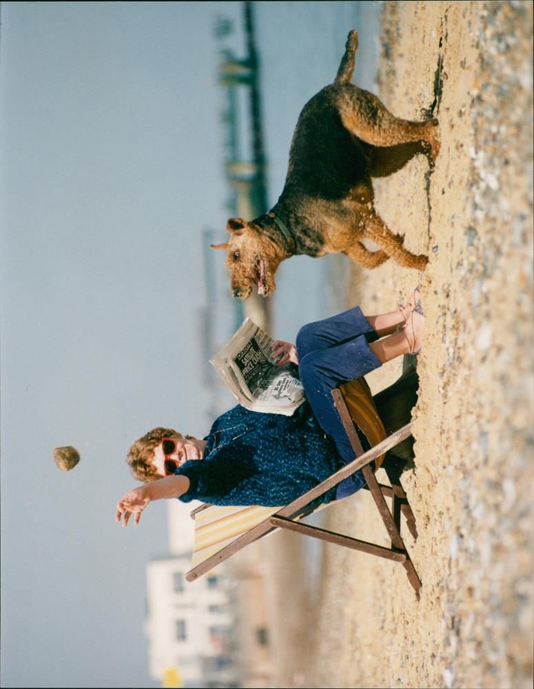 DOG - Vintage Photograph