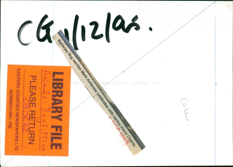 WAVENEY DOG - Vintage Photograph