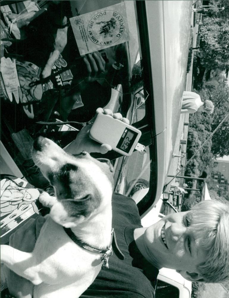 DOG - Vintage Photograph