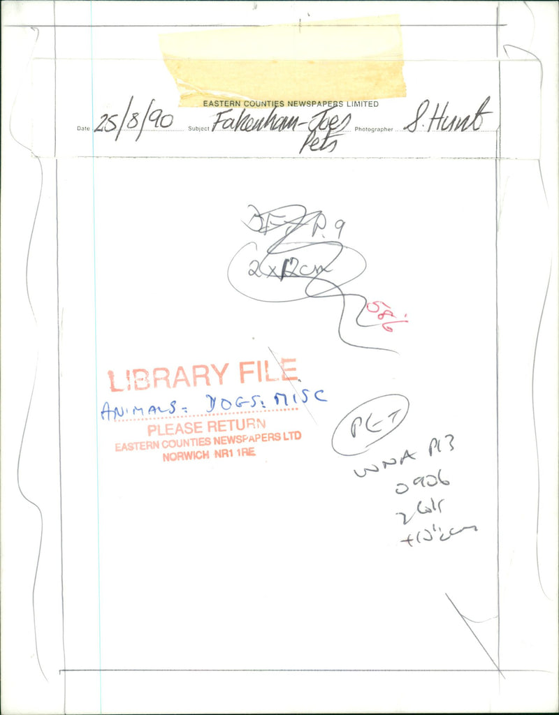 DOGS - Vintage Photograph