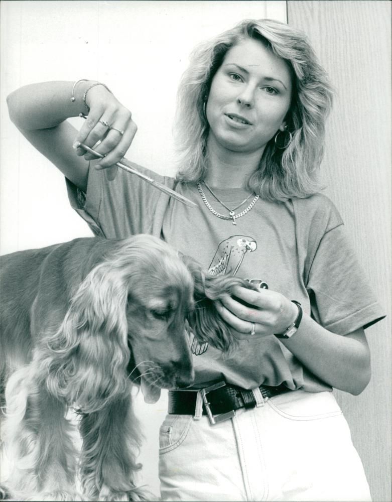 DOGS - Vintage Photograph
