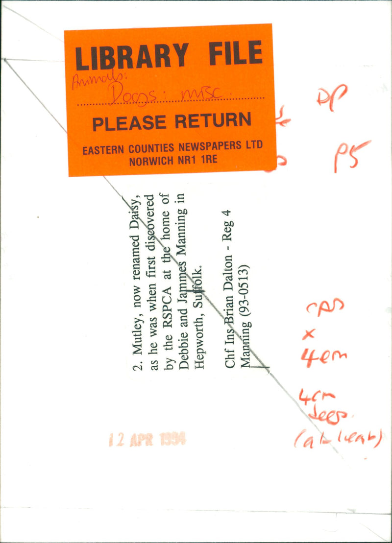 DOG - Vintage Photograph