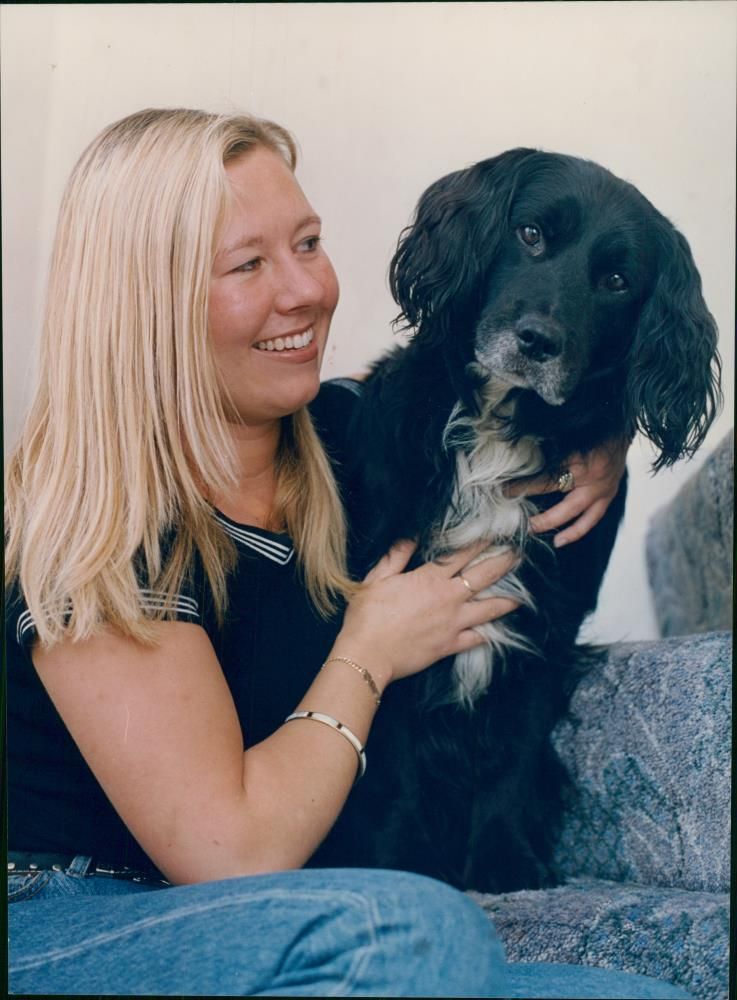 Dog. - Vintage Photograph