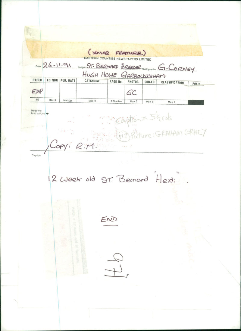 Dog. - Vintage Photograph