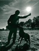 Dog. - Vintage Photograph