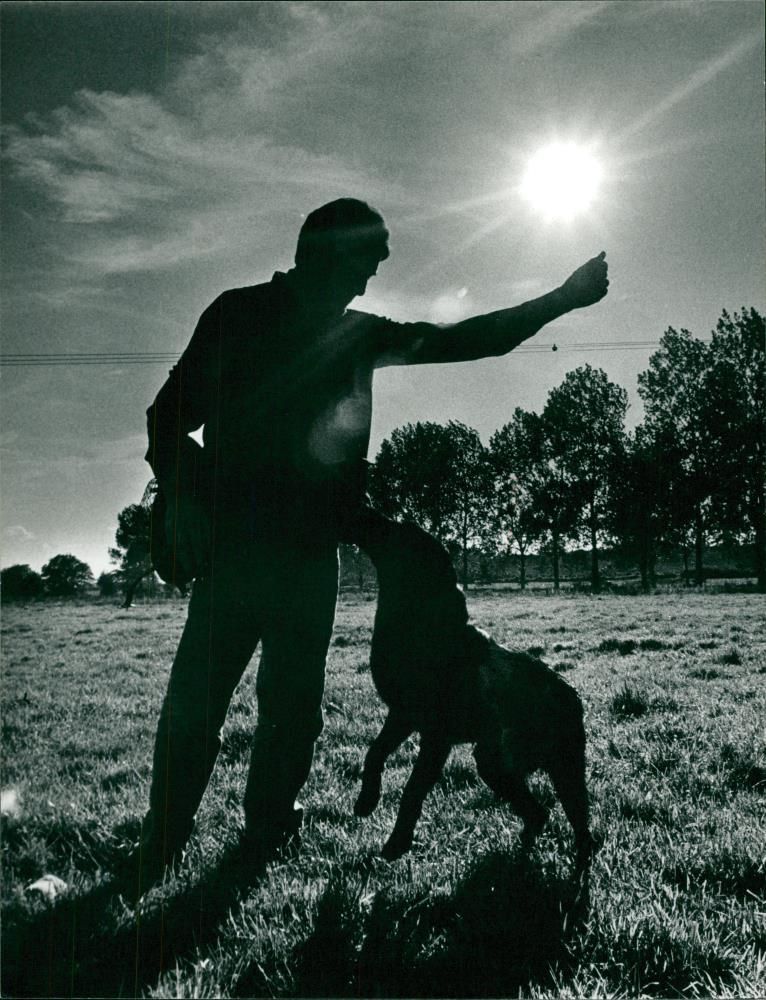 Dog. - Vintage Photograph